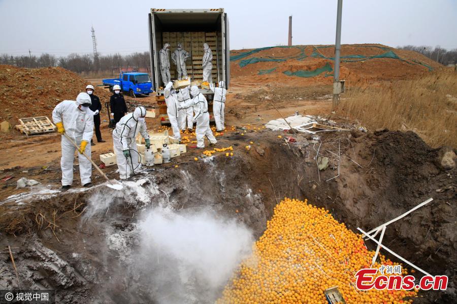 Tianjin dumps 20 tons of Spanish fruits(1/3)