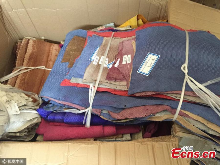 Haikou customs seize 68,000 smuggled python skins (1/3)