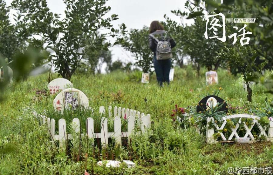 Pet burial plot priced at $1,840 in SW China(1/5)