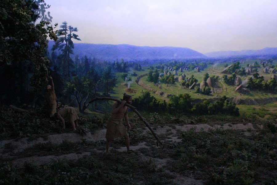 Banpo museum: a collection of prehistoric culture(1/10)