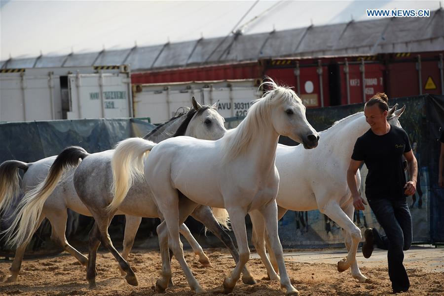 Canadian horse show 'Cavalia' to start in Beijing(1/4)