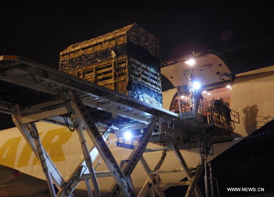 622 alpacas from Chile arrive in Henan(1/3)