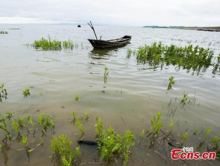 Freshwater lake Poyang expands quickly after rainfalls(1/7)