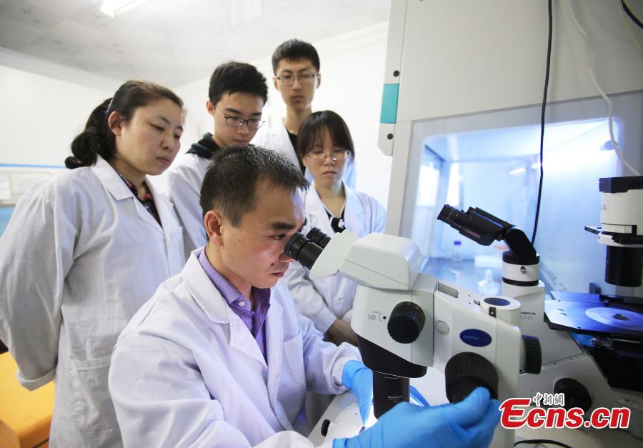 Chinese scientist makes progress in genome editing(1/5)
