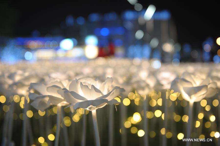 Rose-shaped lamps seen at shopping mall in Chengdu(1/4)