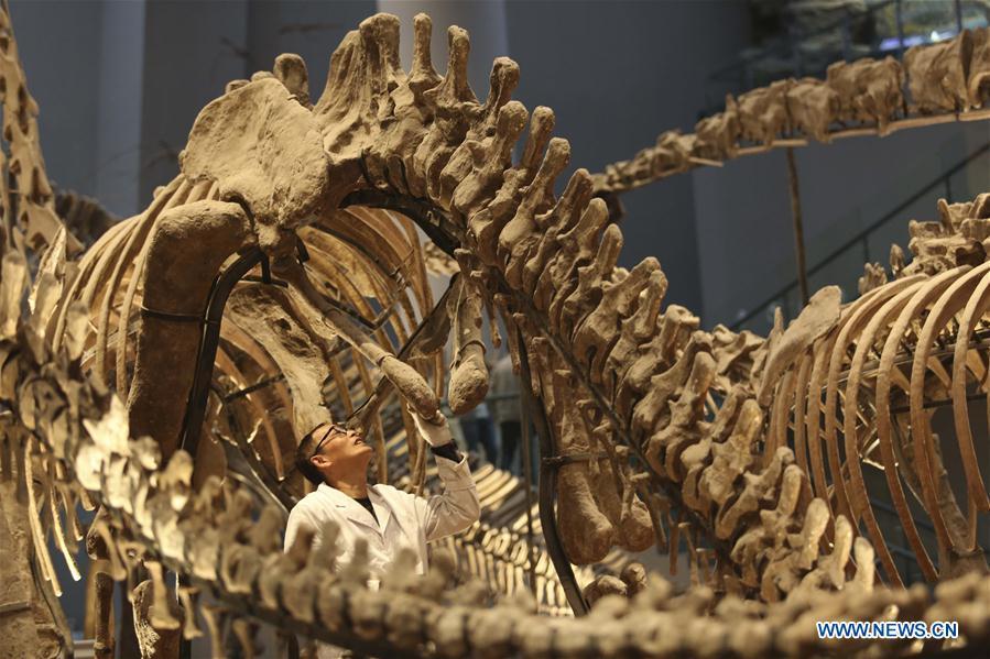 Photo story: dinosaur fossil researchers in SW China(1/13)