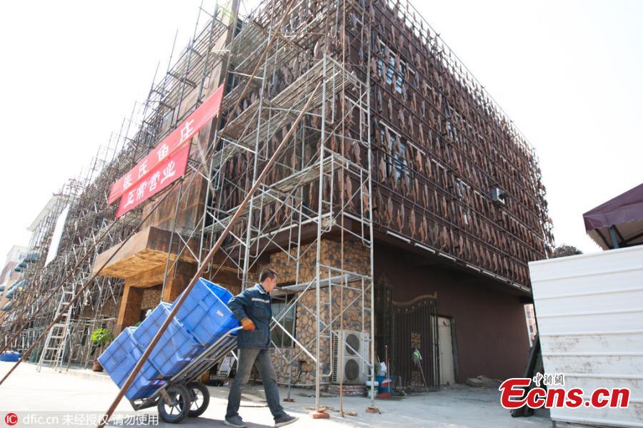 50,000 fish models decorate restaurant in Changchun (1/4)