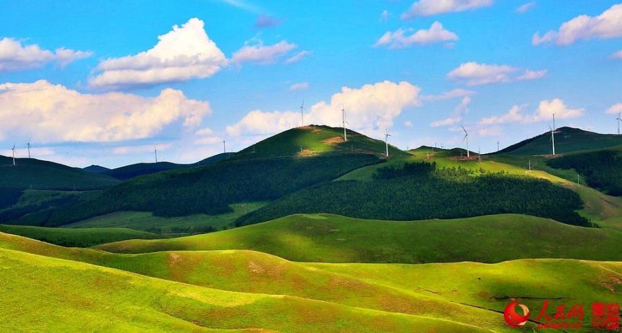 Scenery of picturesque Grassland Road in Zhangbei(1/4)