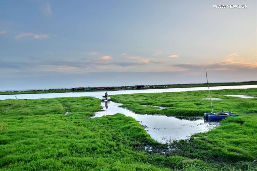 Scenery of Suya Lake Wetland in Henan(1/6)