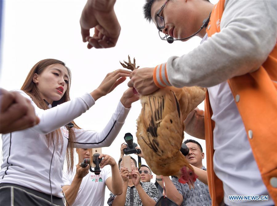 Taobao kicks off live-streaming for agricultural products (1/4)