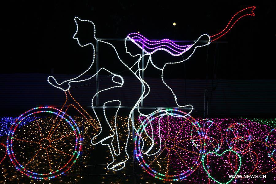 LED light festival takes visitors into a colorful world(1/4)