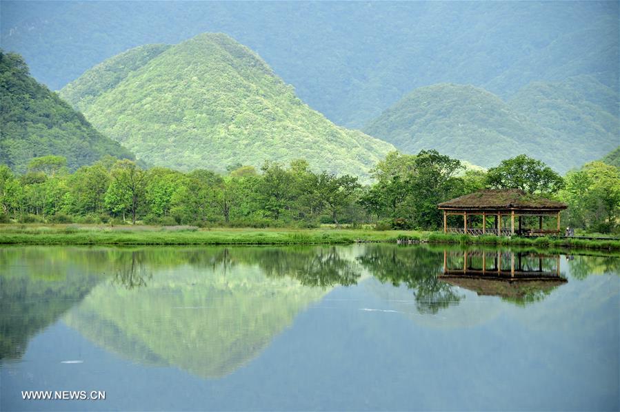 Scenery of Dajiu Lake in Shennongjia, central China's Hubei(1/10)