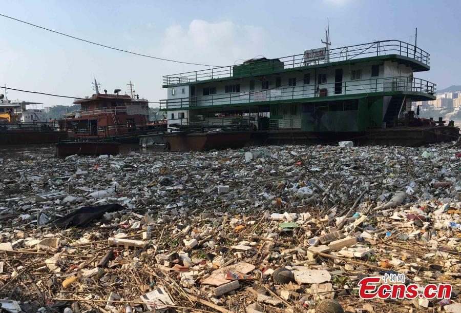 Yangtze River hit by flood-borne garbage(1/4)