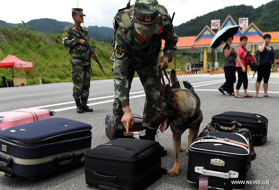 Sniffer dogs receive training at Jiangqiao Police Dog Training Base(1/7)