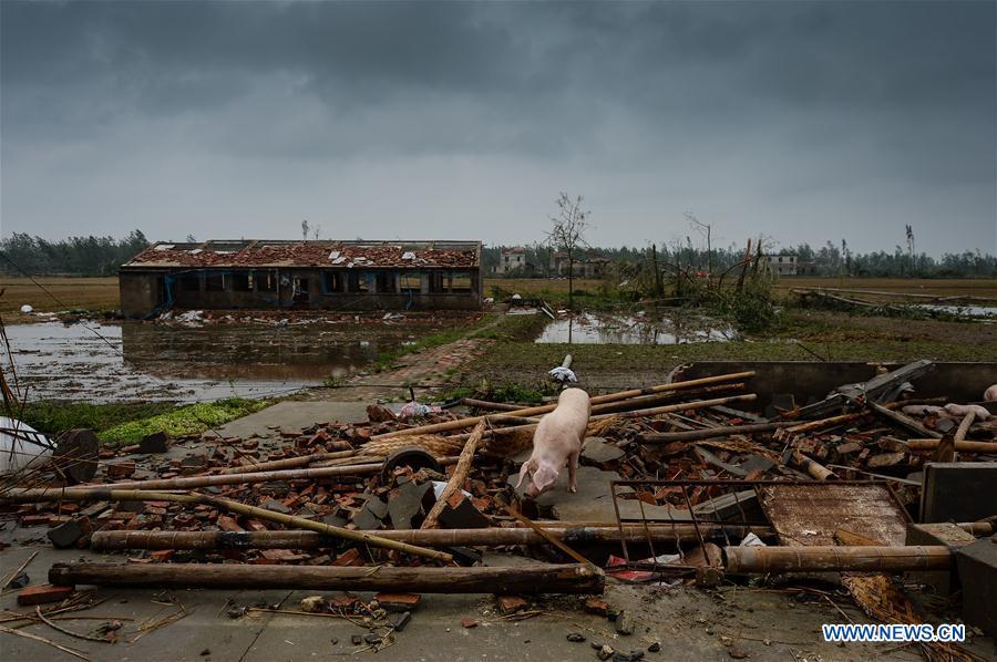 Tornado leaves mess in E China's Jiangsu(1/13)