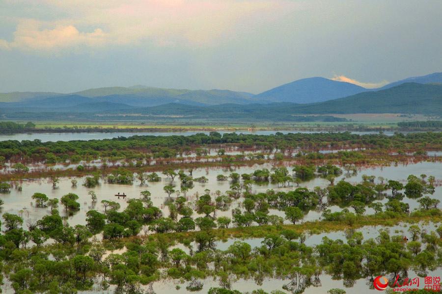 Intoxicating scenery of Nanhu Wetland(1/9)
