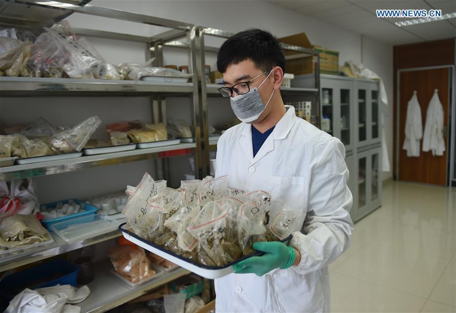 Hunan in process of soil remediation from heavy metal pollution(1/7)