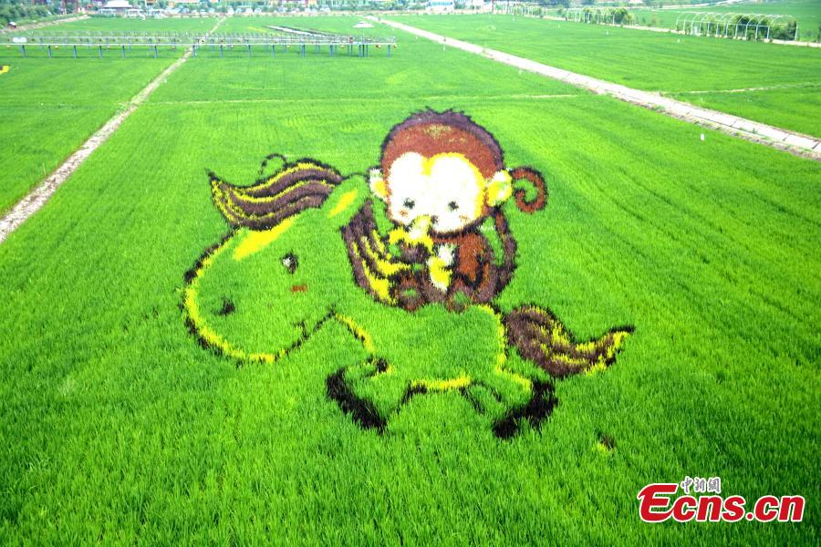 Rice paddy art expected to boost farmer’s income (1/7)