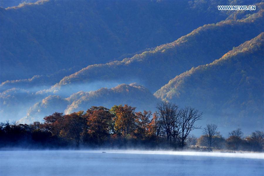 China's Hubei Shennongjia added to World Heritage List(1/14)