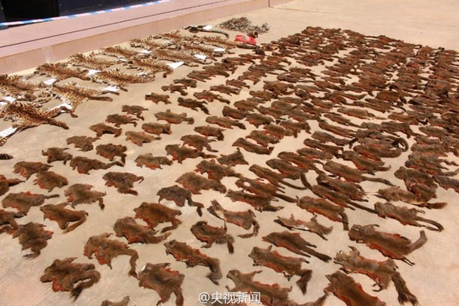 Yunnan police seize wild animal products(1/9)