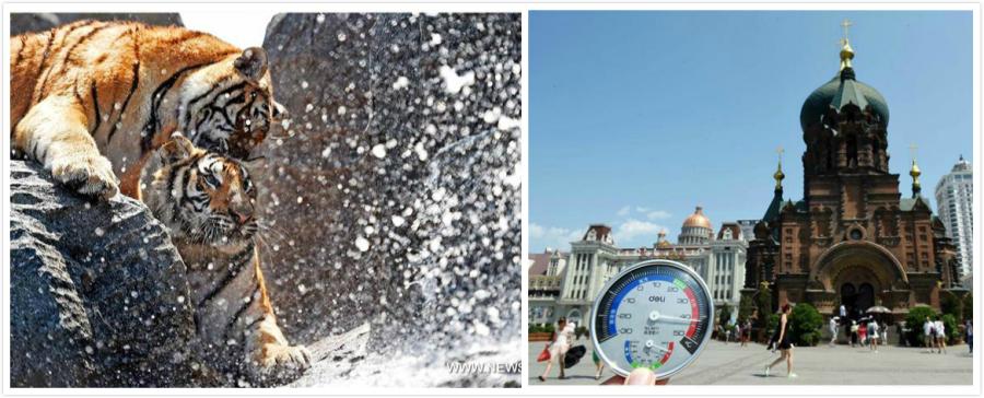 Heat wave engulfs most part of China(1/11)