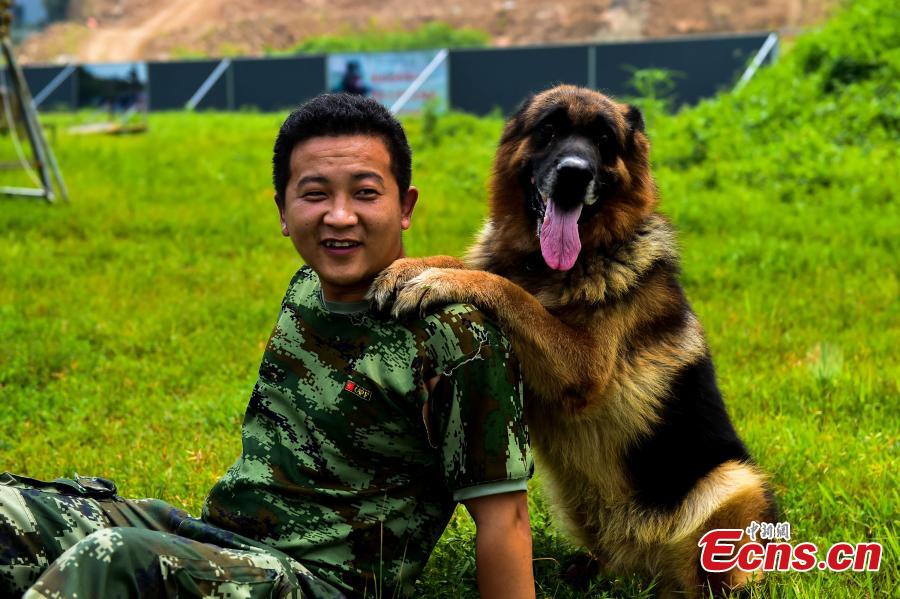Veteran police dog to retire after G20 Summit in Hangzhou(1/9)