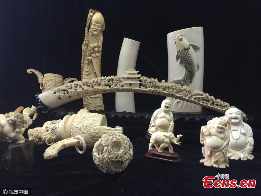 Customs seize 101.4 kg of ivory from Japan(1/3)