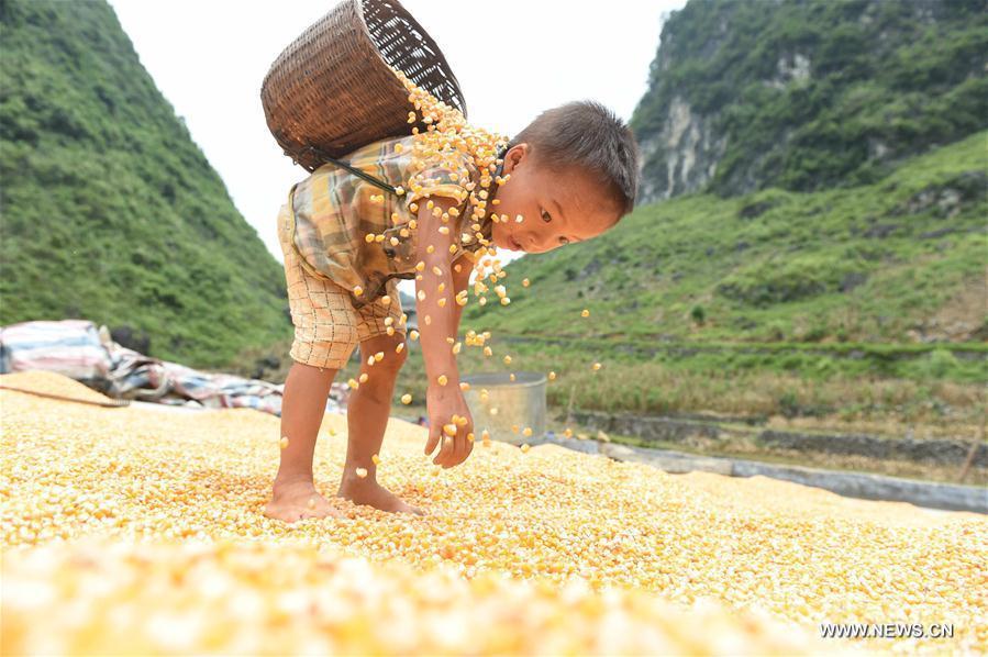 Over 3 mln people pulled out of poverty in past 4 years in Guangxi(1/12)