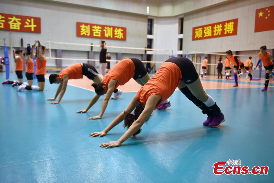 Women's volleyball players in training before Rio(1/12)