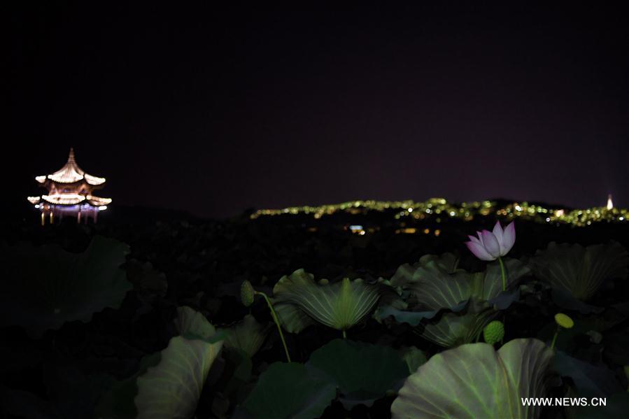 Hangzhou: host city of G20 Summit(1/13)