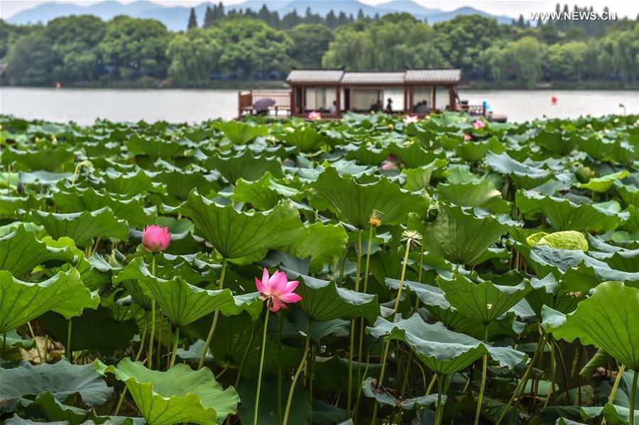 West Lake Scenic Area closed except for residents and working staff from Sept. 1 to 6(1/6)