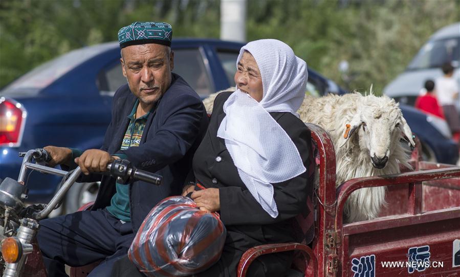 Local Muslims prepare for upcoming Corban Festival in Xinjiang(2/7)