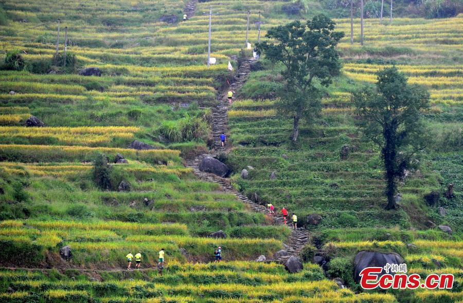Marathon race on China's most beautiful terraced fields(1/7)