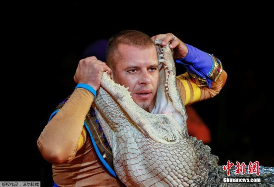 Ukrainian National Circus debuts new show in Kiev(1/4)