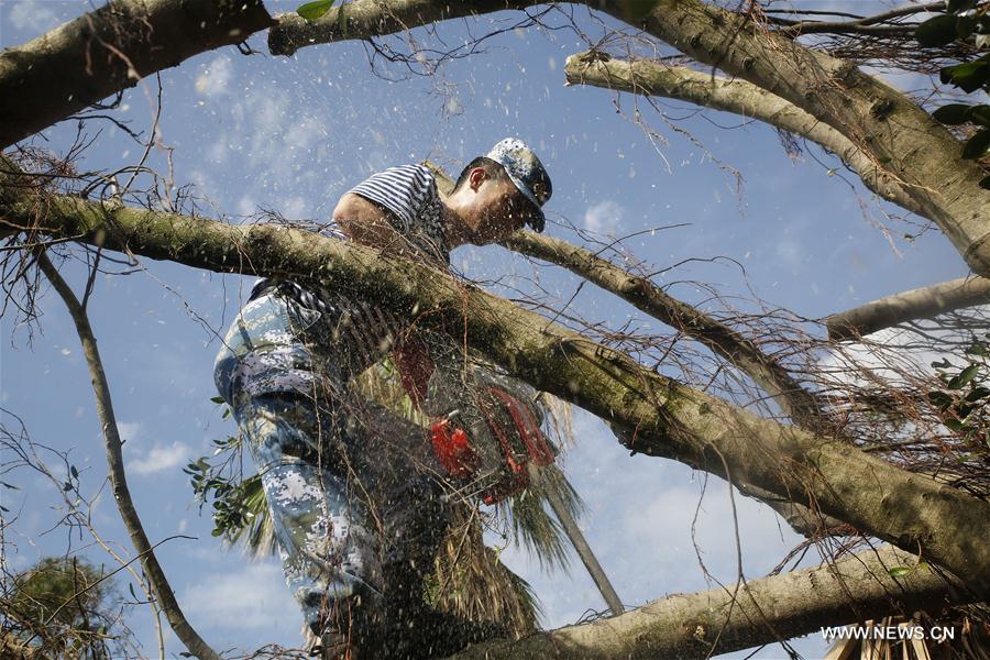Reconstruction launched across Fujian after Typhoon Meranti(1/6)