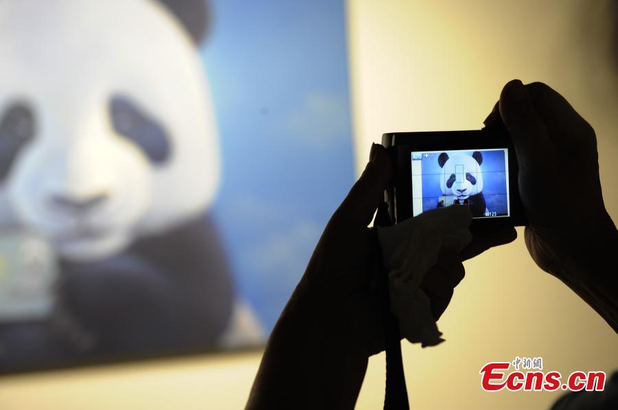 Panda art exhibition kicks off in Chengdu(1/5)