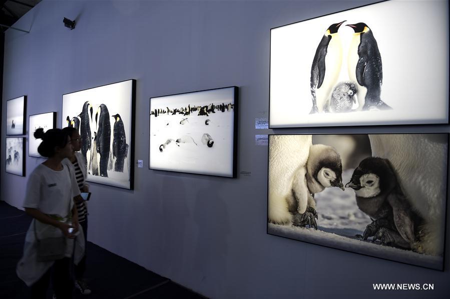 Pingyao International Photography Festival kicks off(1/8)