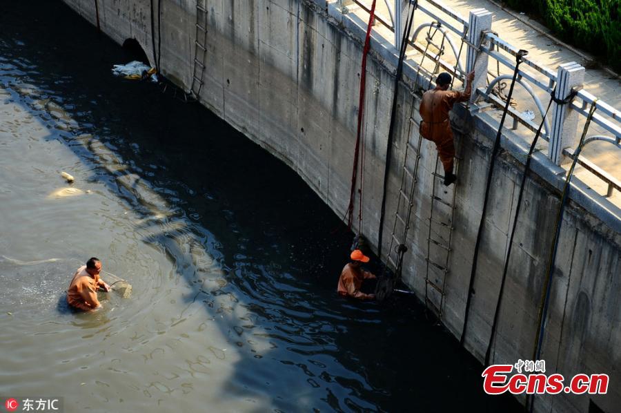 Worm hunter makes $75 yuan a day(1/4)