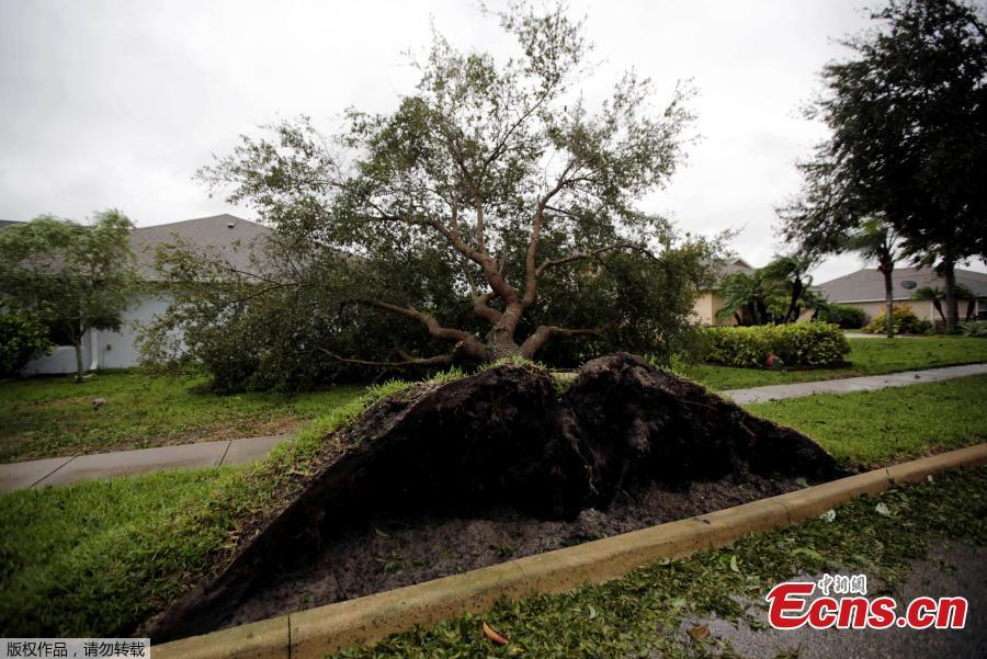 Hurricane Matthew torments Florida coast(1/8)