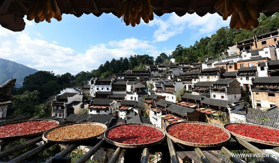 Scenery of air-dried hot pepper and crops in Wuyuan County(1/4)