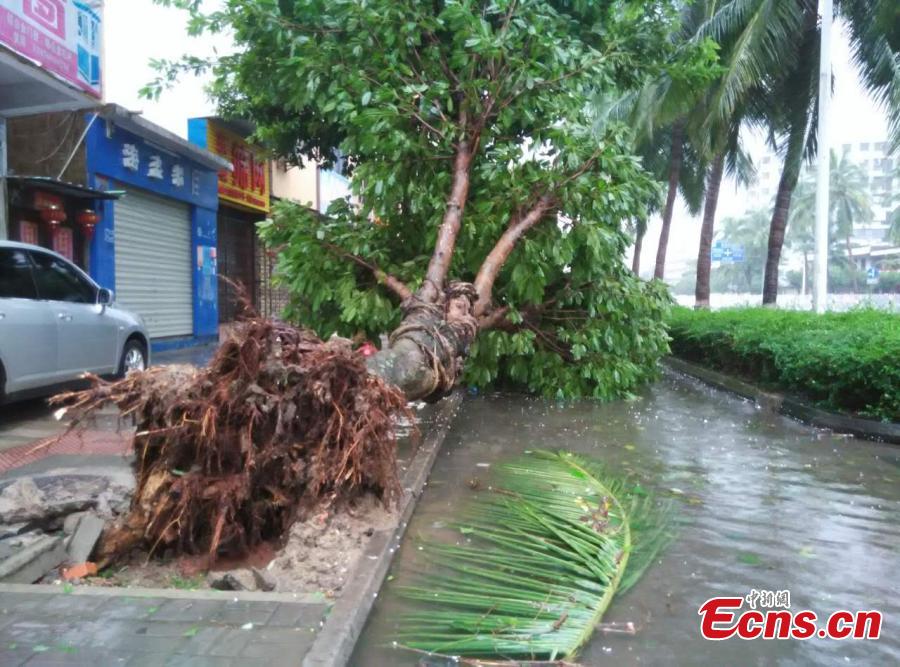 Typhoon Sarika lashes southern island province (1/7)