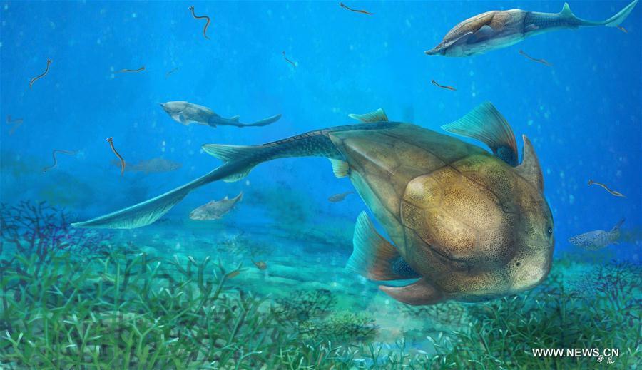 Human jaws can be traced back to prehistoric fish 'Qilinyu': study(1/3)