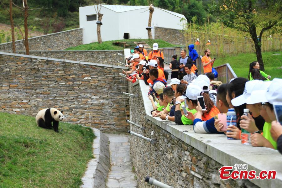 300 int'l fans join 23-km trek to find giant pandas(1/7)