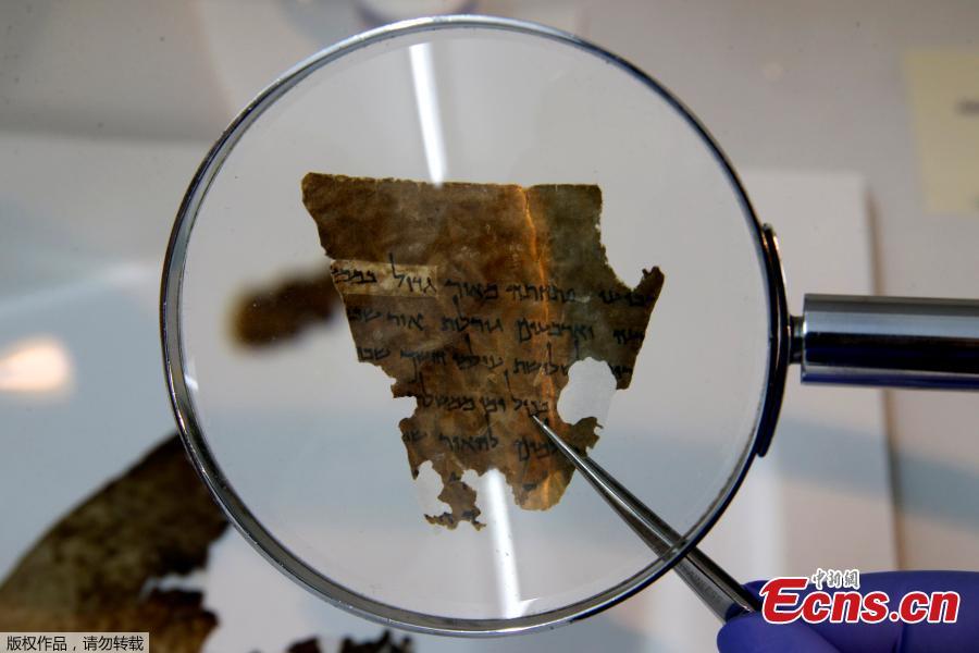 Israel says ancient papyrus supports its claim to Jerusalem(1/5)