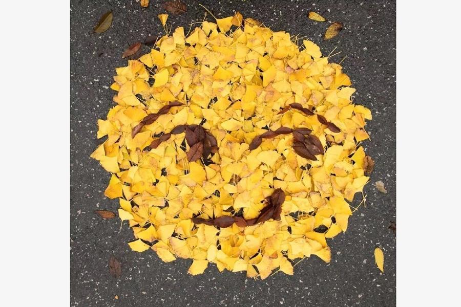 Leaves transform into emojis(1/8)