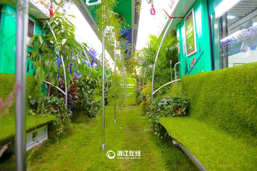 Forest moved into subway (1/4)