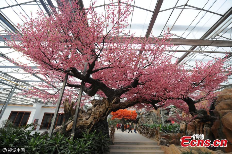 Man spends hundreds of millions to build smog-proof wonderland (1/4)