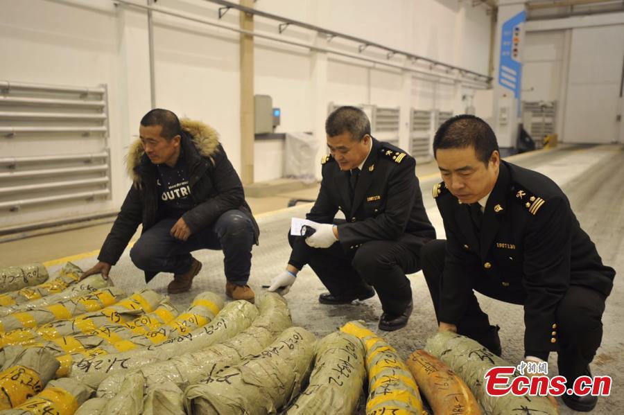 540kg of illegal ivory seized in NE China(1/2)