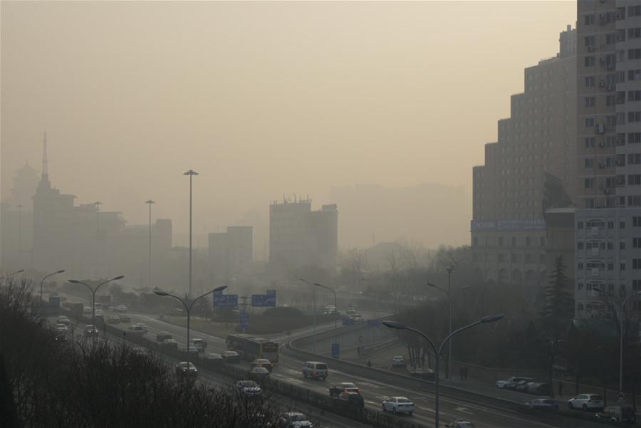 Severe smog hits parts of China(2/7)