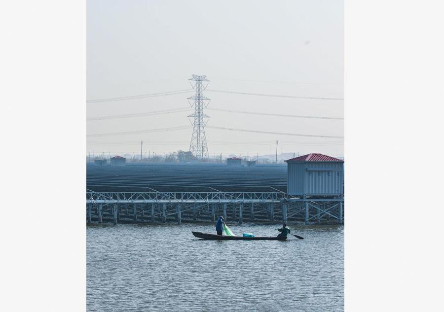 Fishermen are netting fish near a solar power project under construction in Cixi city, East China\'s Zhejiang province, Sept 24, 2016. (Photo/Xinhua)